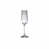 Click here for more details of the Harmony Polycarbonate Champagne Flute 17.5cl/ 6.2oz